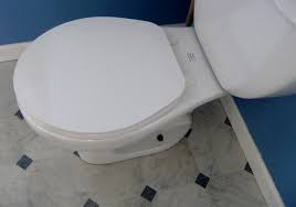 clogged toilet plumbing