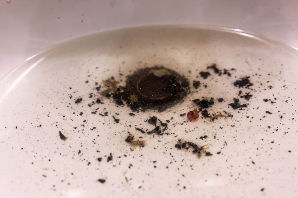 standing water in bathroom drain